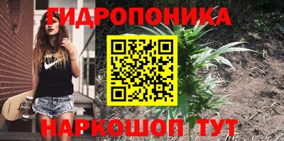 синтетический гашиш Лесосибирск